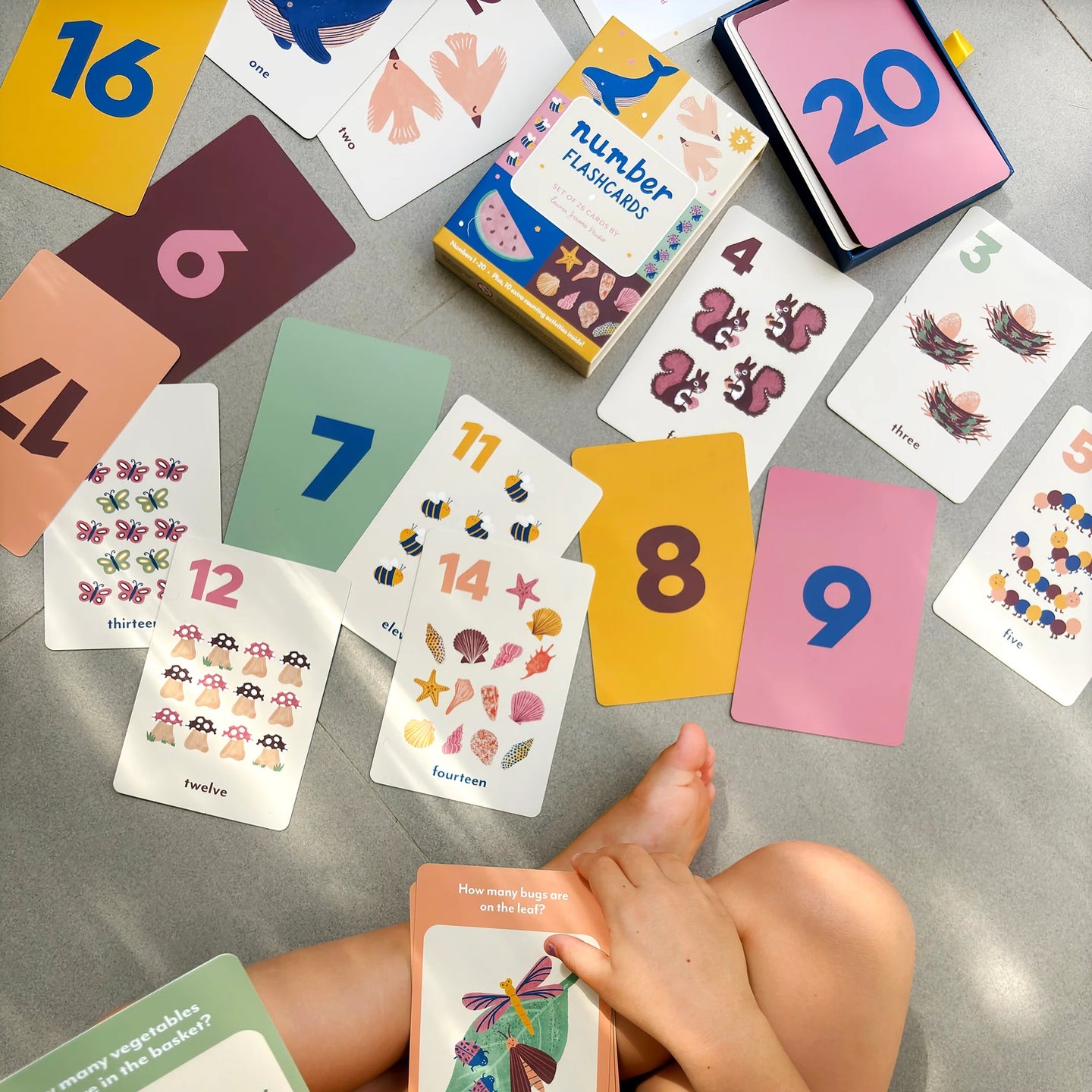 Number Flashcards-Bandicute